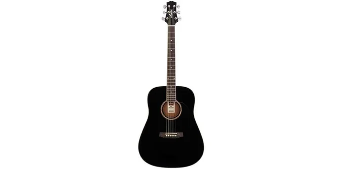 Ashton Dreadnought Guitar Pack Black W/Bag D25