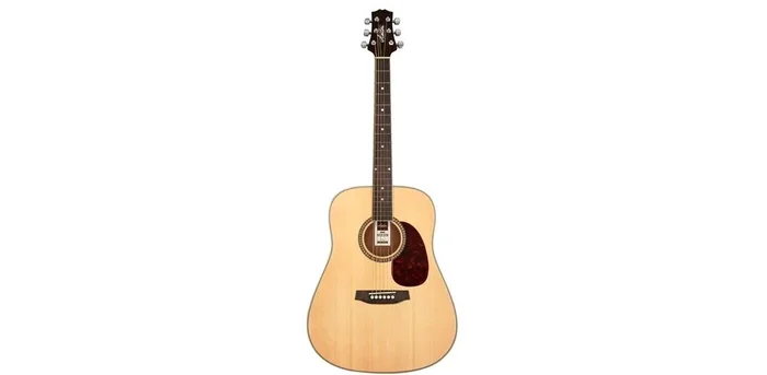 Ashton Dreadnought Guitar Pack Natural Matt W/Bag D25