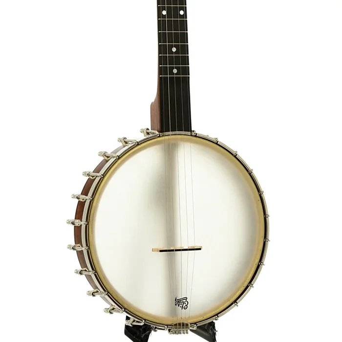 Bart Reiter Buckbee Open Back Banjo (2016)