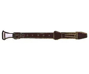 Brooch-Coloured Enamel-Recorder
