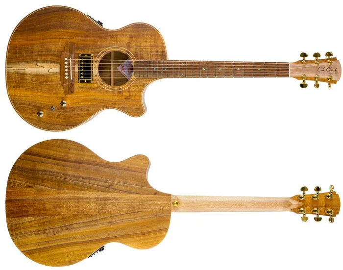 Cole Clark Thinline 2 Hum Acoustic Guitar Blackwood Back & Sides