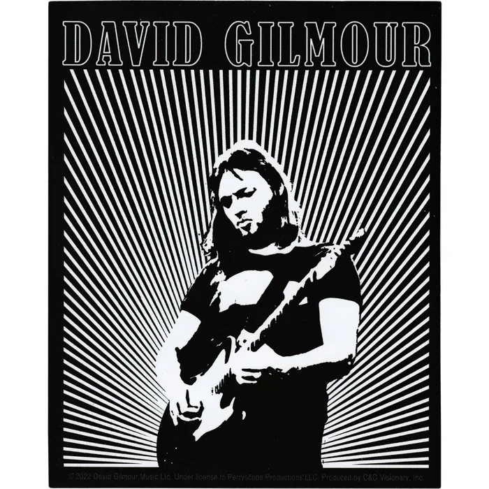 David Gilmour- Playing Guitar
