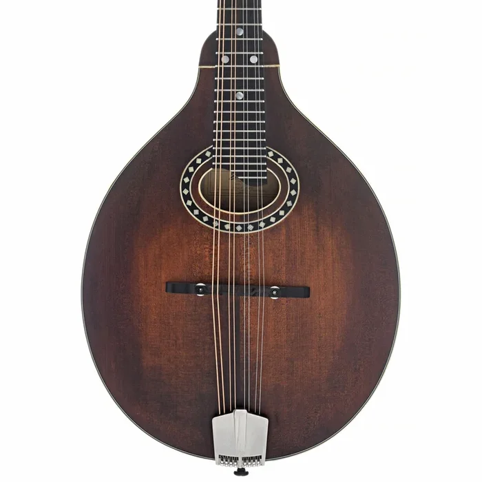 Eastman MD304 Classic Mandolin & Gigbag