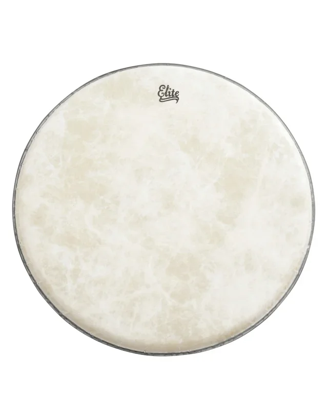 Elite Fiberskyn Banjo Head, 11″, High