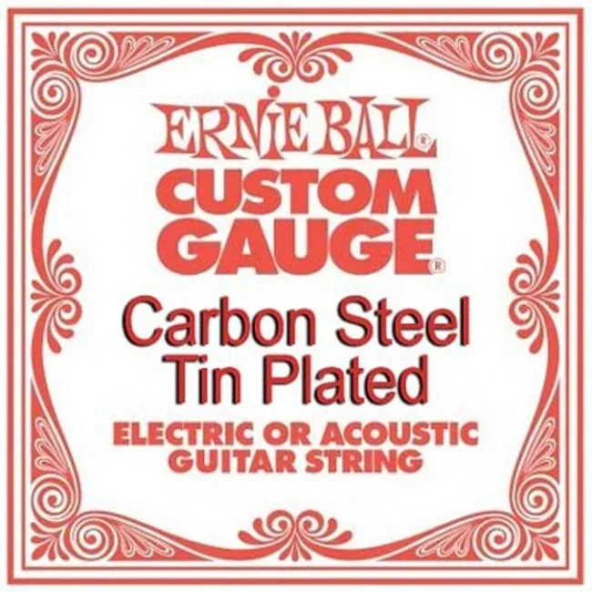 Ernie Ball 1010 Single Guitar String Plain Steel 0.010 Acous/Elec