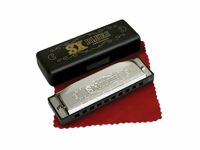 Essex Diatonic Blues Harmonica Key A 10 Hole Harmonica With Case
