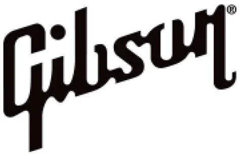 Gibson SG Control Plate Black