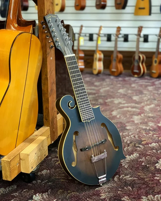 Gold Tone F-12 12-String Manditar & Case with Pickup