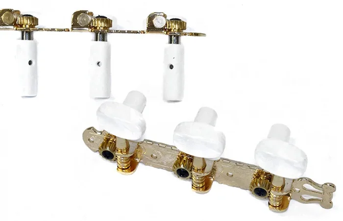 GT Classical Guitar Tuning Machines on Decorative Plate in Gold Finish (3+3)
