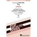 Hal Leonard Try 2-Part by Colbie Caillat Arranged by Mark Brymer Standard