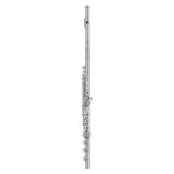 Haynes Q1 Flute (Silver)