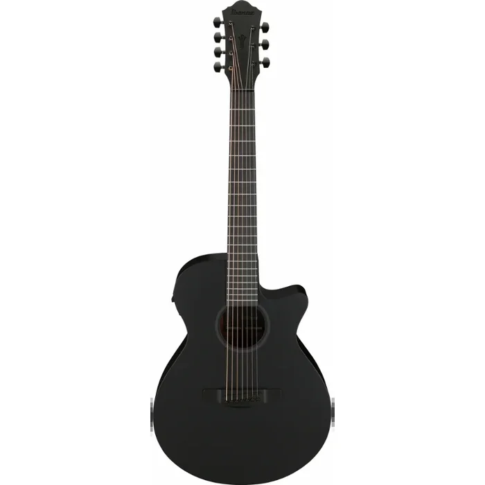 Ibanez AEG721 BOT Acoustic Guitar