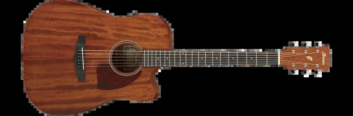 Ibanez PF12MHCE Acoustic Guitar