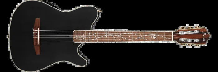 IBANEZ Signature TOD10N Transparent Black Flat 6-String Classical Electric Guitar