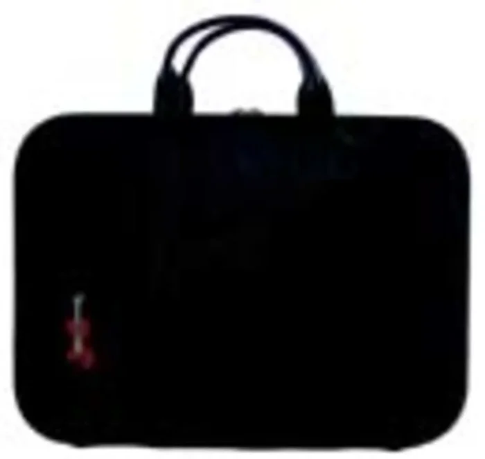Leather Briefcase Violin