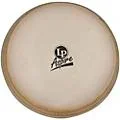 LP 11″ Aspire Conga Head Standard