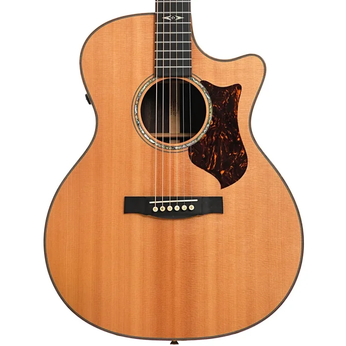 Martin GPCPA1 Performing Artist Acoustic-Electric Guitar (2011)