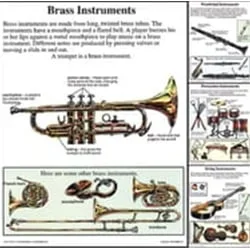 Musical Instruments Teaching Poster Set
