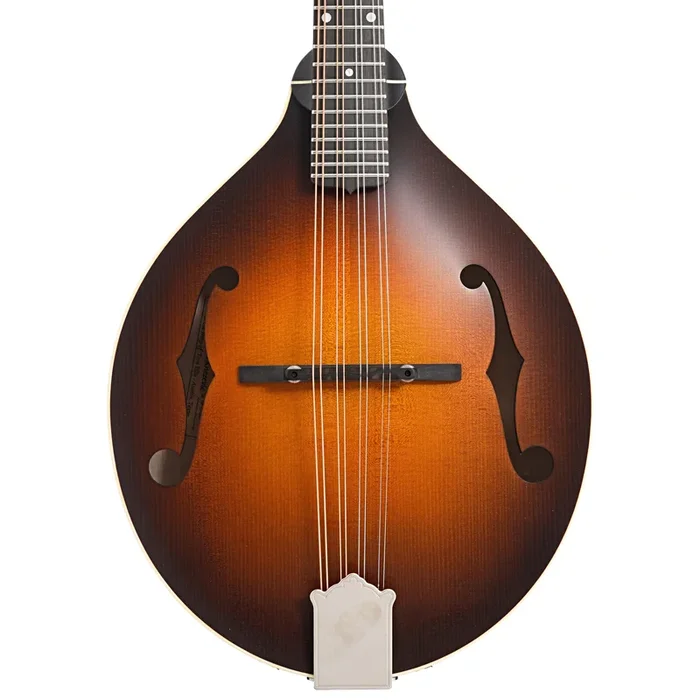 Pava A5 Satin Model Mandolin & Case, Sunburst