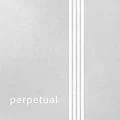 Pirastro Perpetual Series Violin G String 4/4 Size Silver Wound, Medium Gauge, Ball End