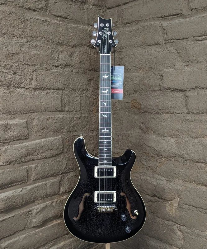 PRS SE Hollowbody Standard Electric Guitar – Dog Hair Smokeburst (New)