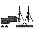 Road Runner 12″ Speaker Bag Bundle With Proline Speaker Stands and Cables Standard