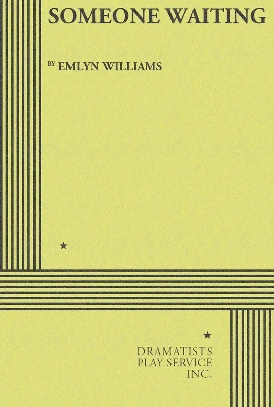 Someone Waiting Book