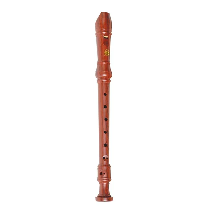 Steinhoff ‘Wood-Look’ Recorder for Kids with Cleaning Rod and Case
