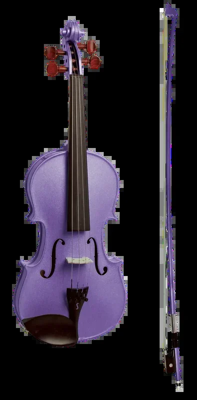 Stentor 4/4 Size Violin Outfit Deep Purple S2444DP