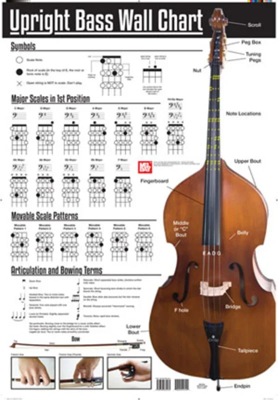 Upright Bass Wall Chart Book